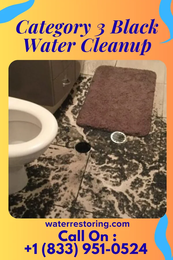 Category 3 Black Water Cleanup in Regency at Monroe, NJ