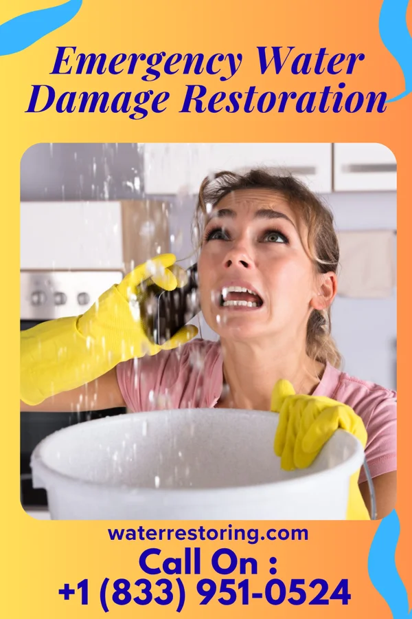 Emergency Water Damage Restoration in Regency at Monroe, NJ