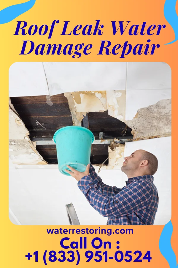 Roof Leak Water Damage Repair in Regency at Monroe, NJ