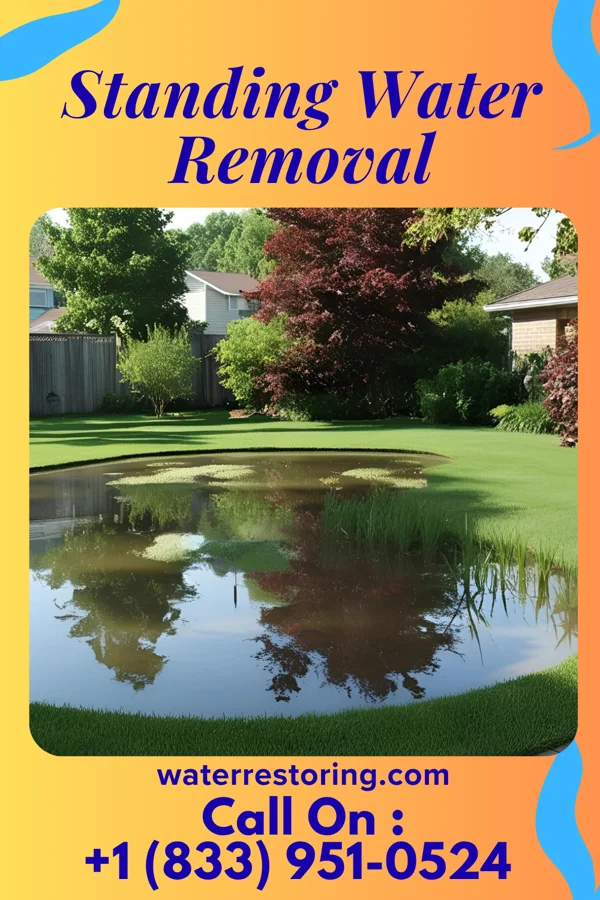 Standing Water Removal in Regency at Monroe, NJ